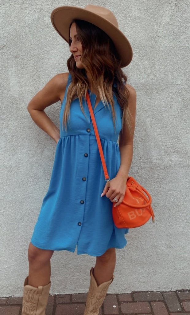 Camille sleeveless button down collared dress (blue)
